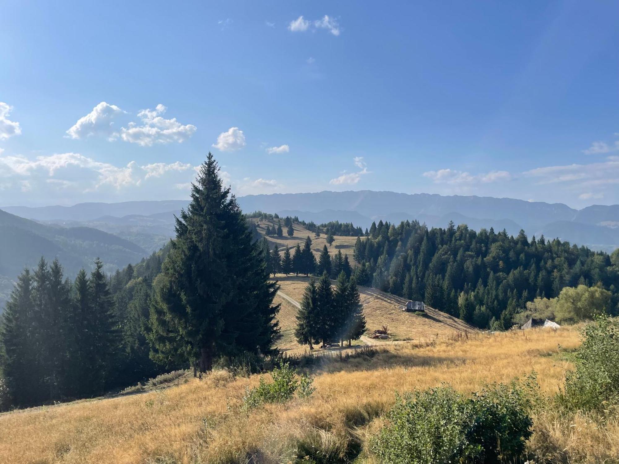 Villa Casa Dudu Moieciu de Jos Esterno foto