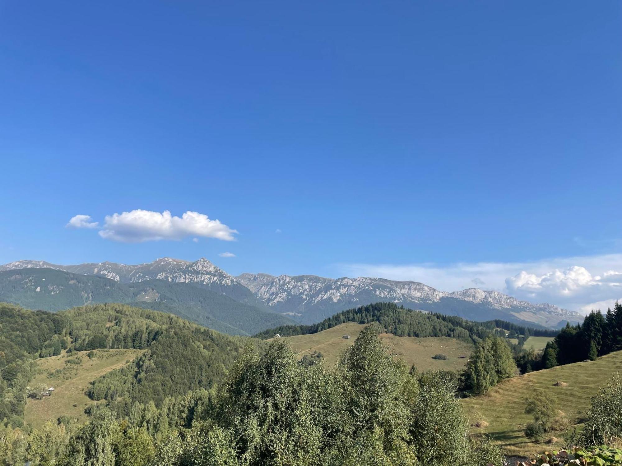 Villa Casa Dudu Moieciu de Jos Esterno foto